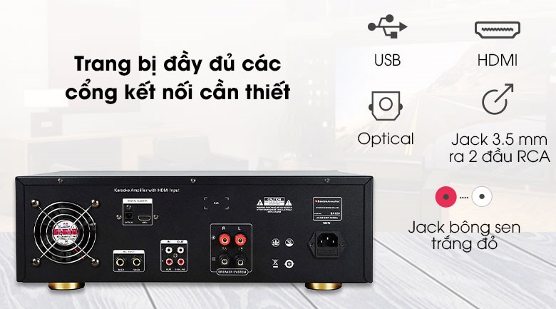 Amply Karaoke Boston Acoustics BA100 - Cổng kết nối