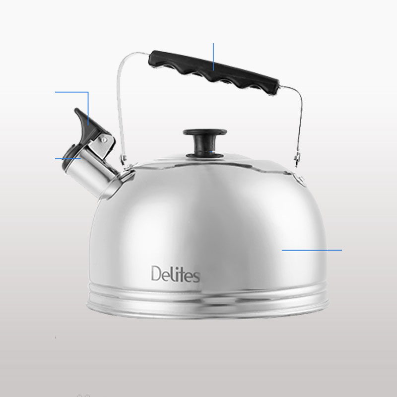 Ấm đun nước inox Delites BR001 4 lít