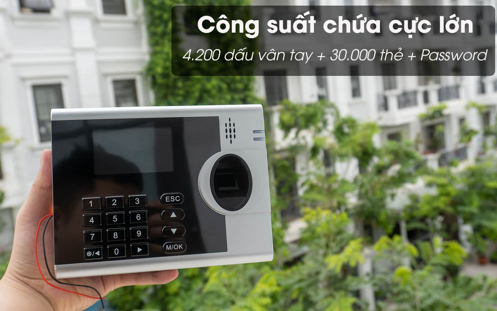 Công suất chứa 4000tid-c
