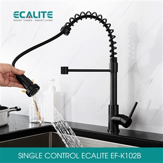 Vòi rửa chén nóng lạnh Single Control Ecalite EF-K102B