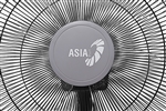 Quạt treo Asia L16006-XV0
