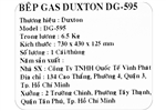 Bếp ga đôi Duxton DG-595
