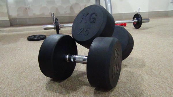 ta-tay-phong-gym-25kg-02
