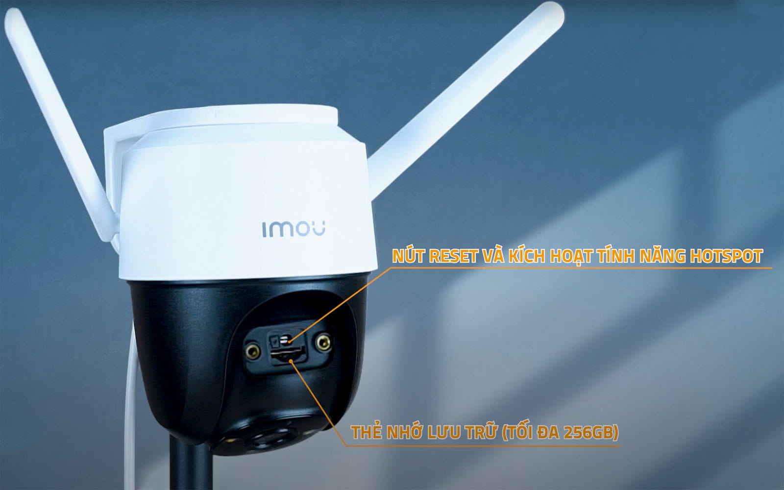 cruiser-s22fp Lưu trữ